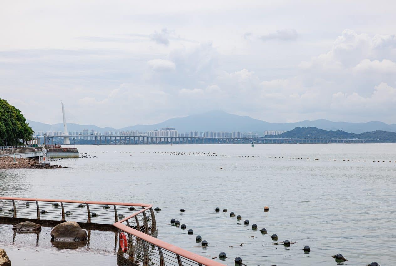 Shenzhen Bay Park, Shenzhen, China — visitor guide