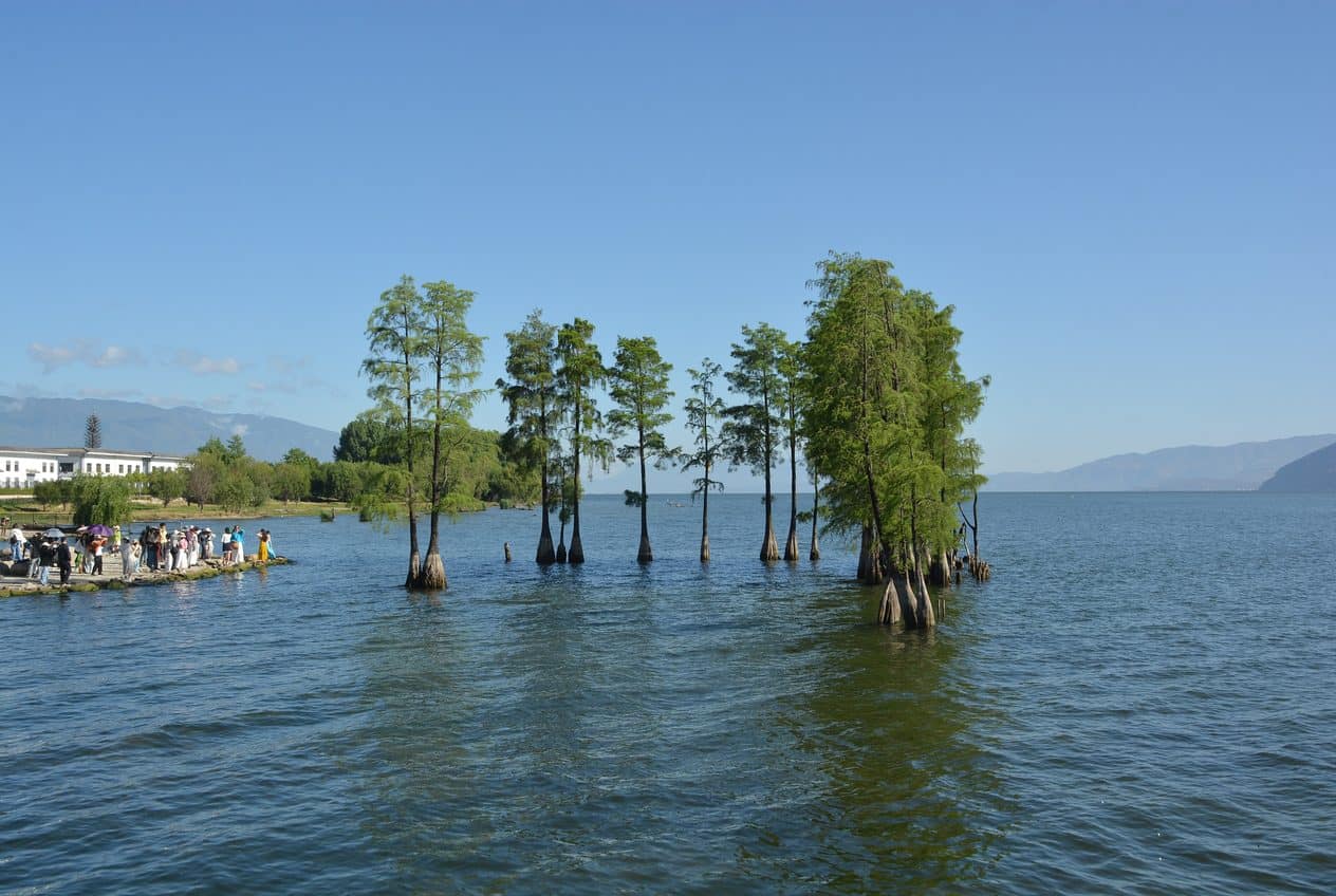 Erhai Lake & the Ecological Corridor, Dali, China — visitor guide